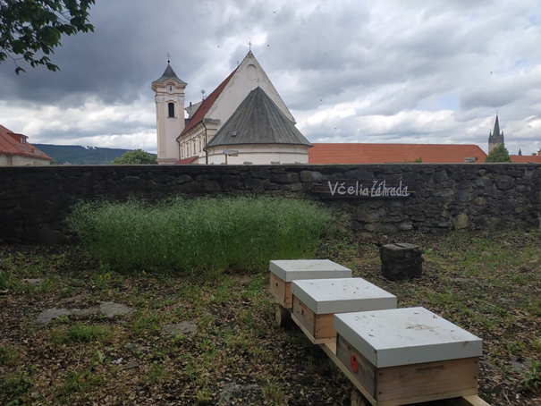 Komunitná včelia záhrada Prešov