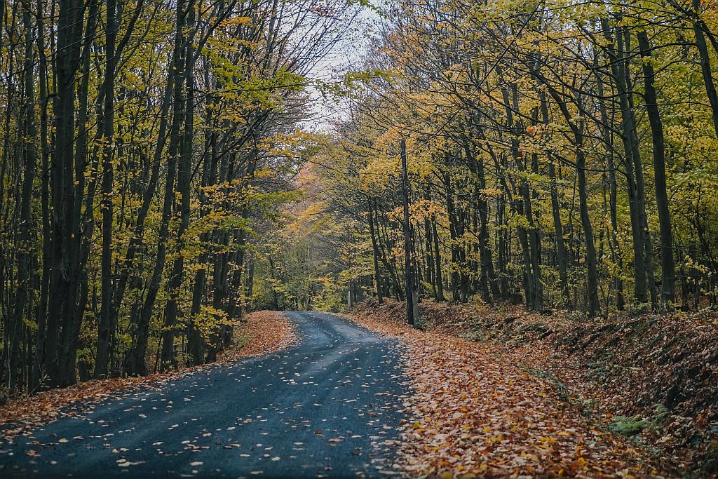 Foto: Opravený úsek Smilno-Šarišské Čierne