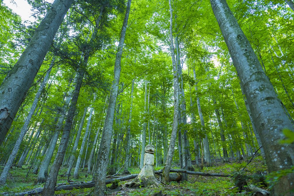 FOTO - Poloniny, Jano Štovka MQEP