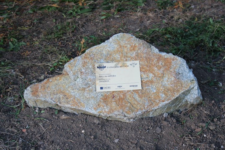 FOTO: soví kútik