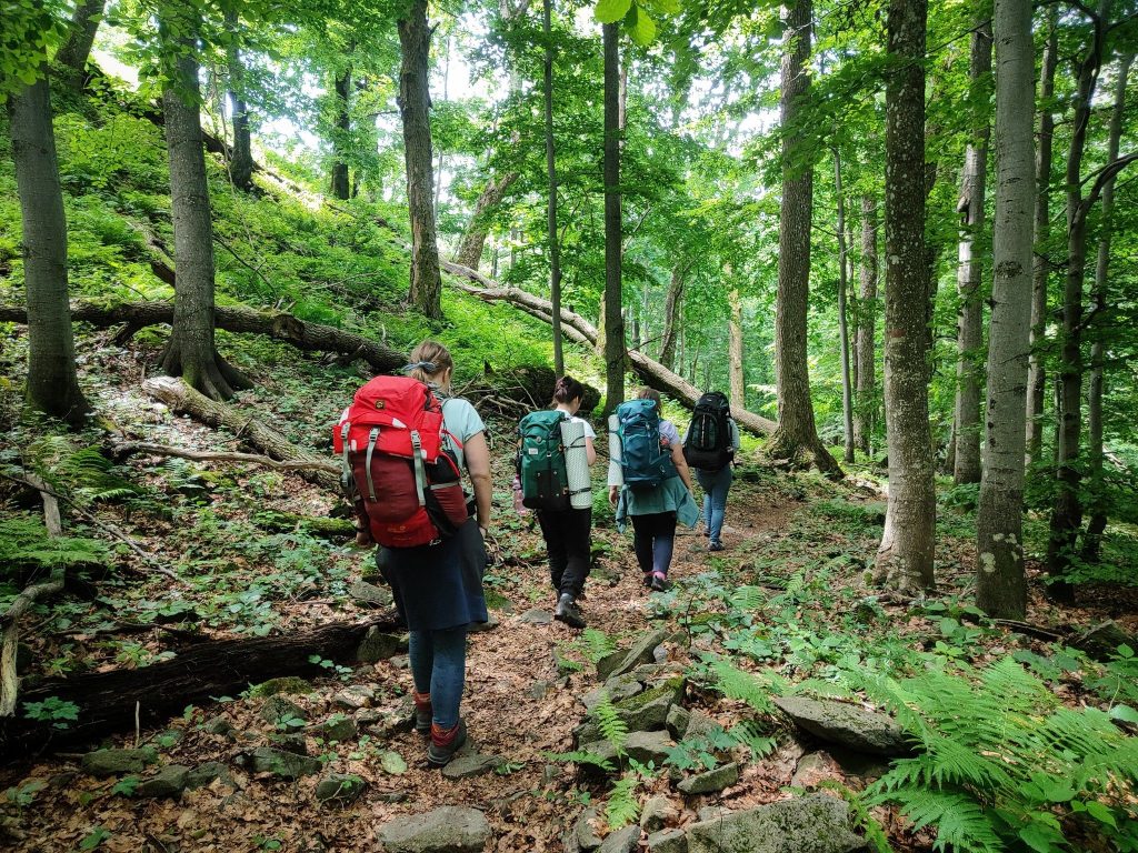 Do hlbín pralesa_Poloniny