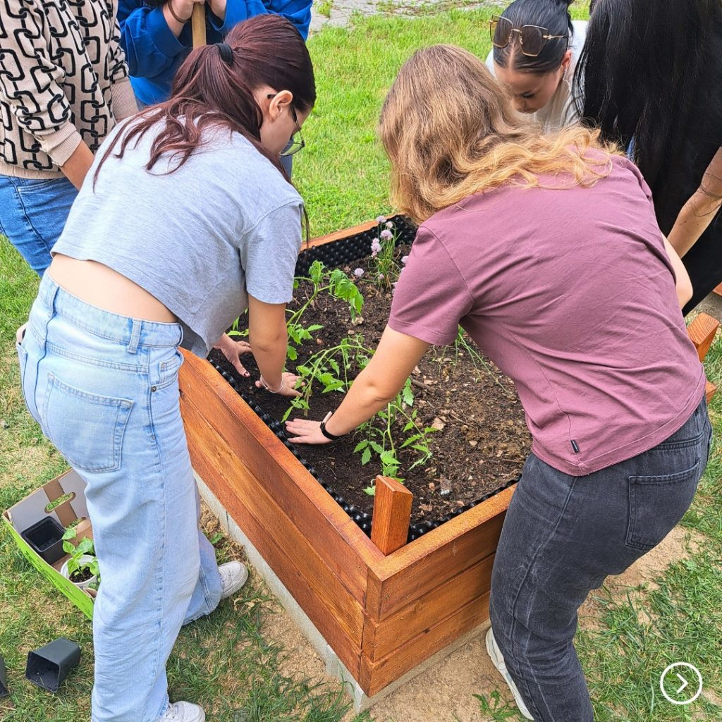 environmentálne aktivity