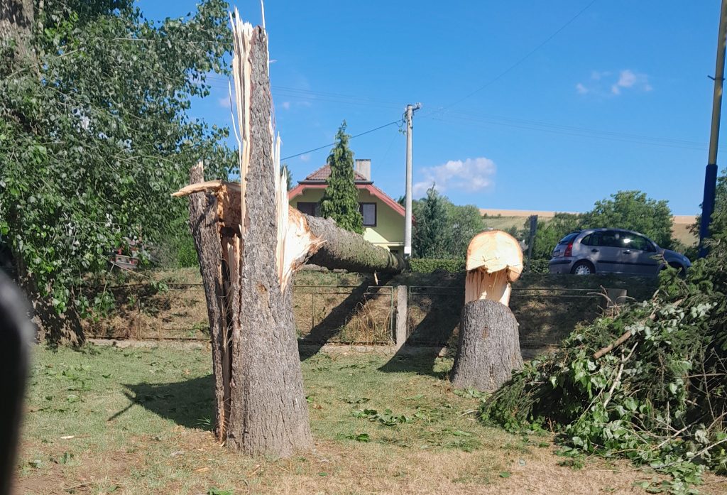 škody po veternej smršti - zlomené stromy