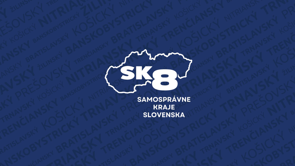 banner SK8