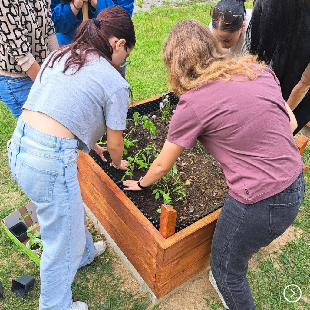 ukážka sociálnych a dobrovoľníckych aktivít
